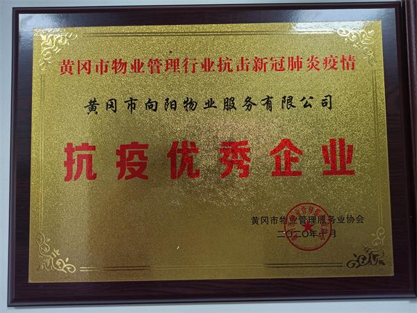 抗疫優(yōu)秀企業(yè)